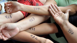 Marcados como ganado