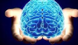 Diez descubrimientos sobre el cerebro en 2018