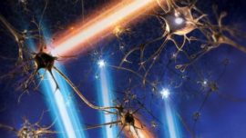 Las autopistas del cerebro