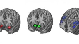 El mejor ansiolítico es una buena terapia