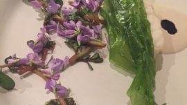 Boragó, los sabores de Chile