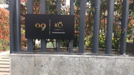 99 KO, el último japonés en Madrid