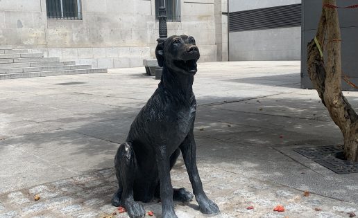 Así era Paco, el perro que tiene una estatua en la calle Huertas