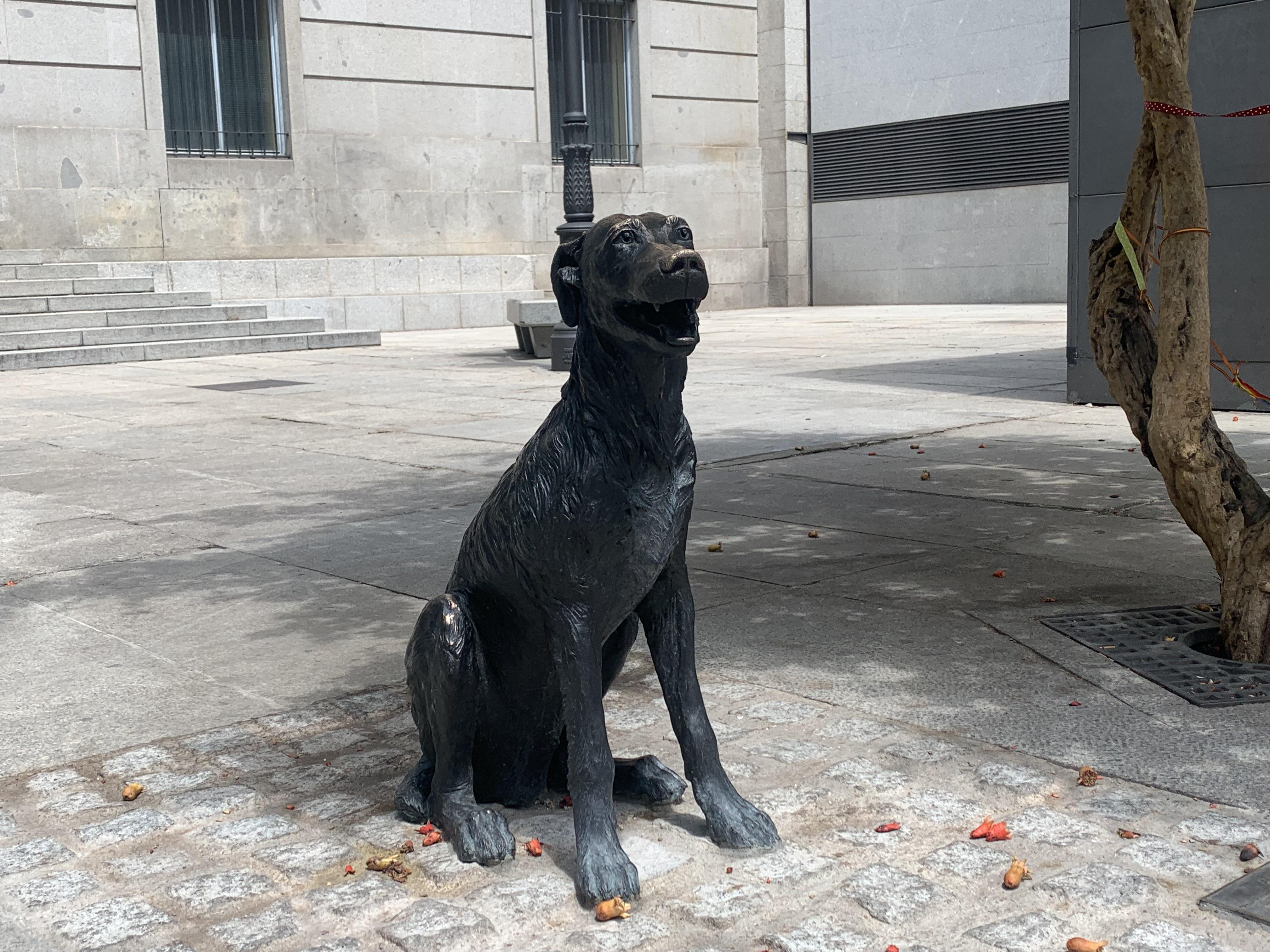 Así era Paco, el perro que tiene una estatua en la calle Huertas